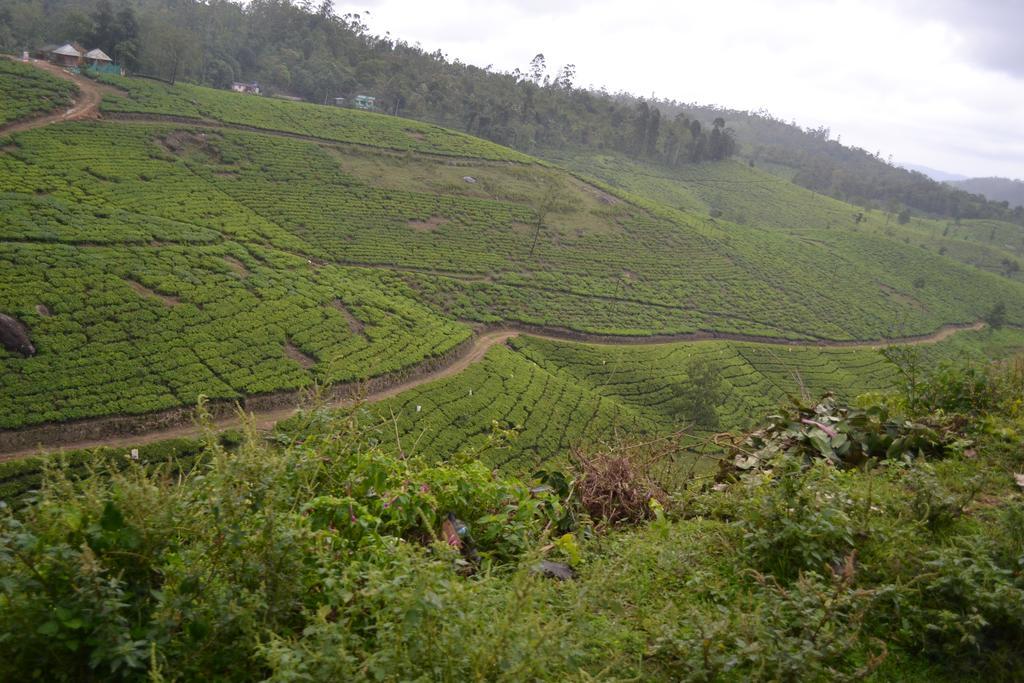 Ferndale Homestay Thekkady Bagian luar foto