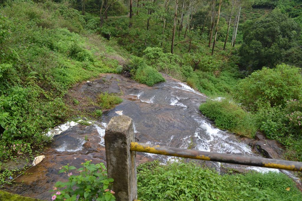 Ferndale Homestay Thekkady Bagian luar foto