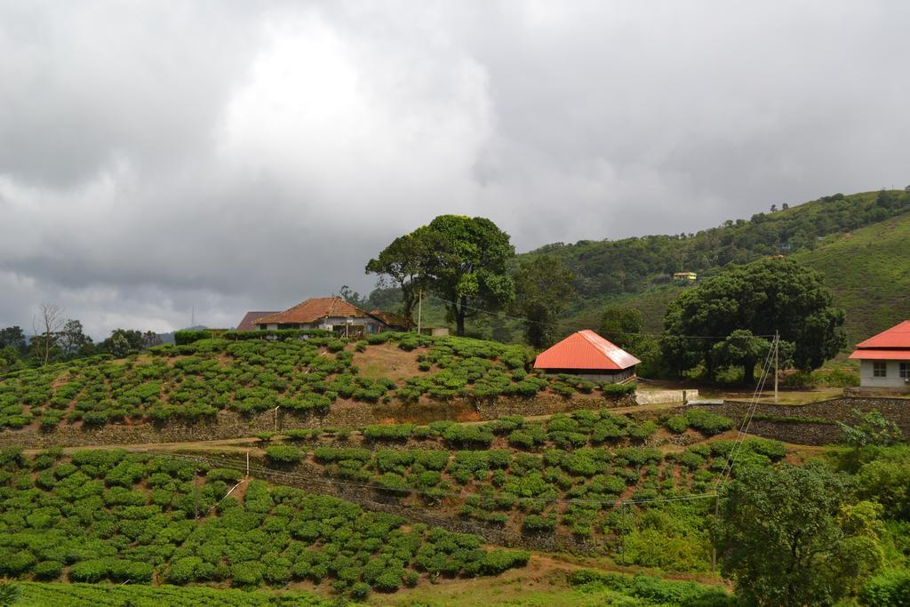 Ferndale Homestay Thekkady Bagian luar foto