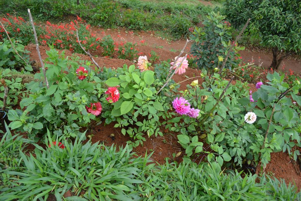 Ferndale Homestay Thekkady Bagian luar foto