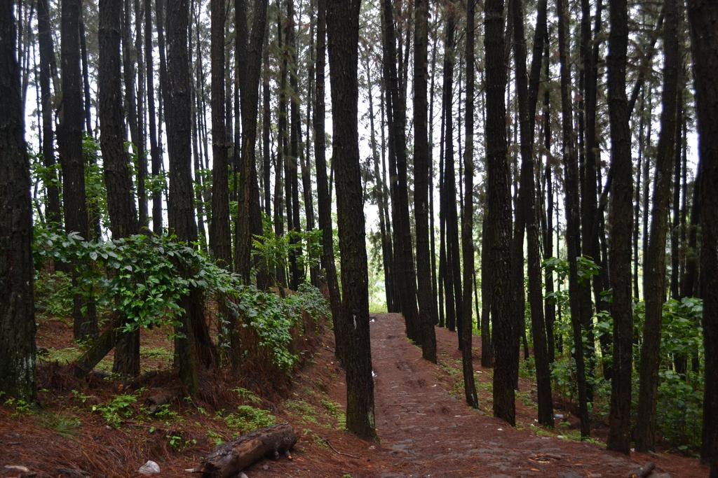 Ferndale Homestay Thekkady Bagian luar foto