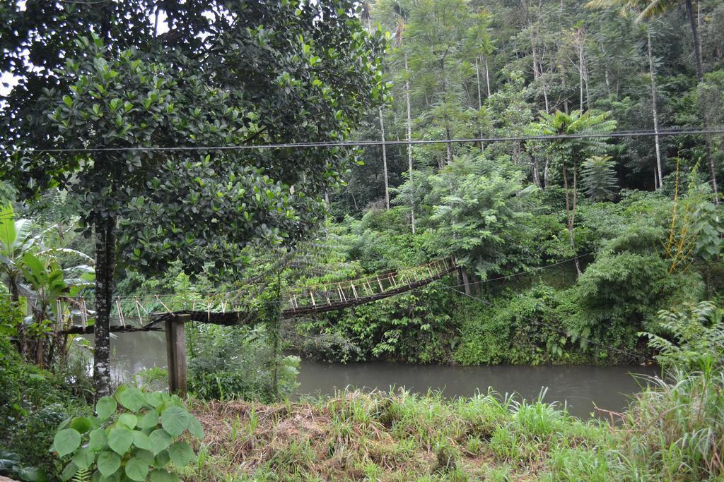 Ferndale Homestay Thekkady Bagian luar foto