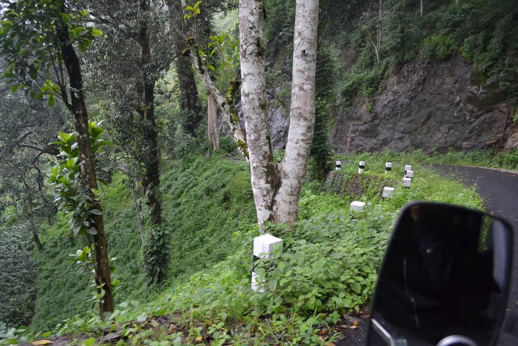 Ferndale Homestay Thekkady Bagian luar foto