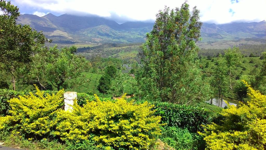 Ferndale Homestay Thekkady Bagian luar foto