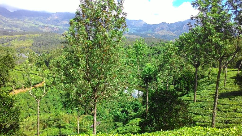 Ferndale Homestay Thekkady Bagian luar foto