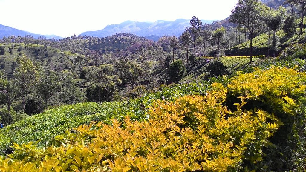 Ferndale Homestay Thekkady Bagian luar foto